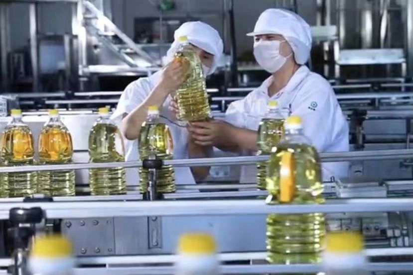 彩世界·(中国游)官方网站 -APP下载