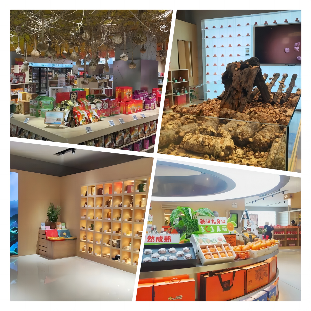 彩世界·(中国游)官方网站 -APP下载