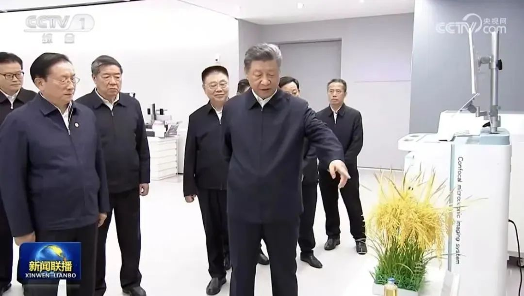 彩世界·(中国游)官方网站 -APP下载