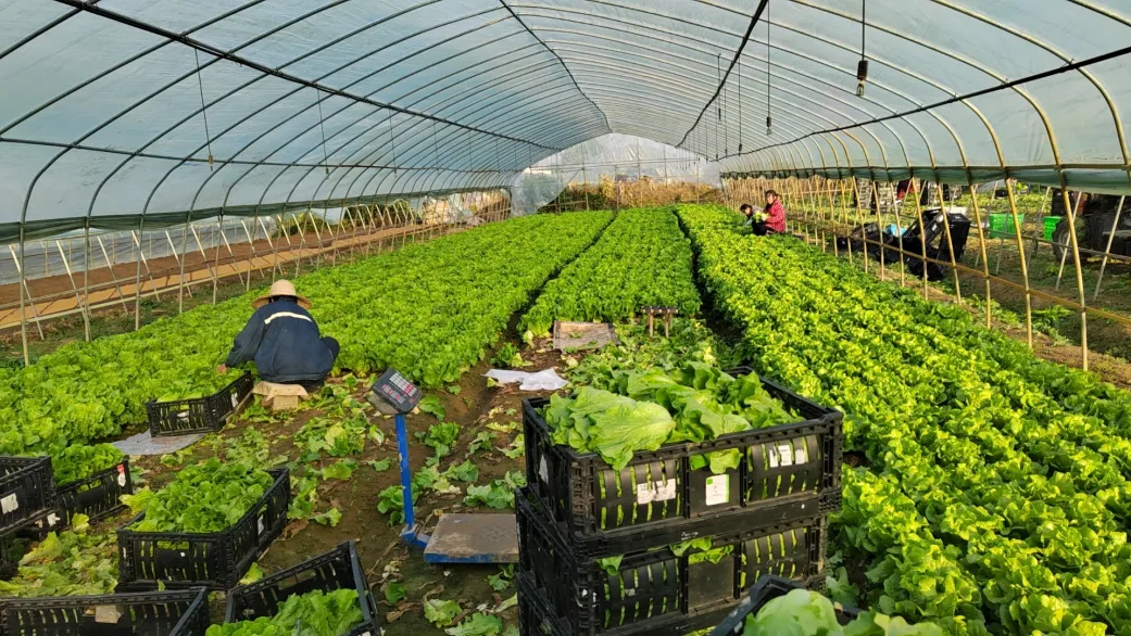 彩世界·(中国游)官方网站 -APP下载